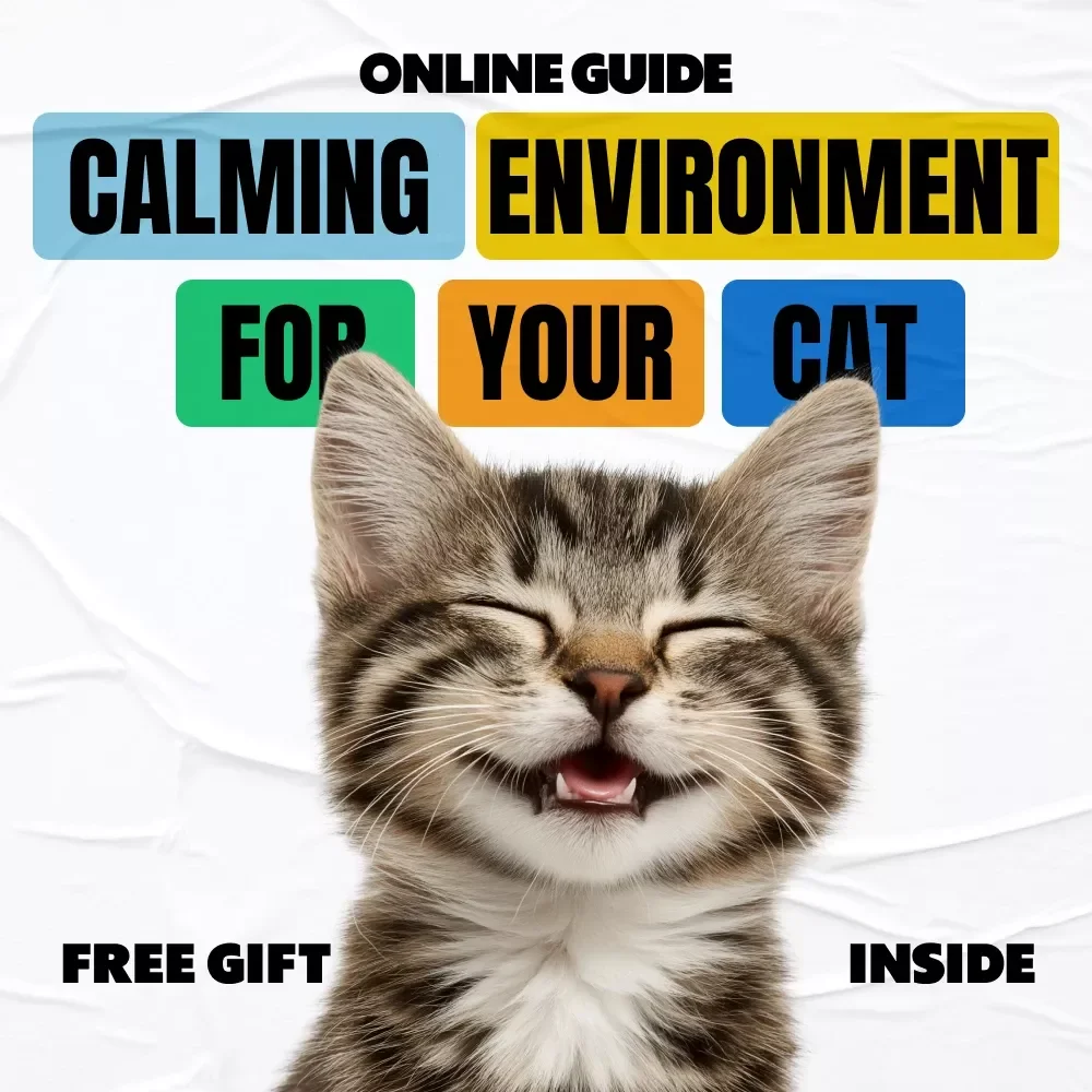 How to Create a Calming Environment for Your Cat | Cat Calming Environment Setup eBook | Stress-Free Home Guide for Happy Cats