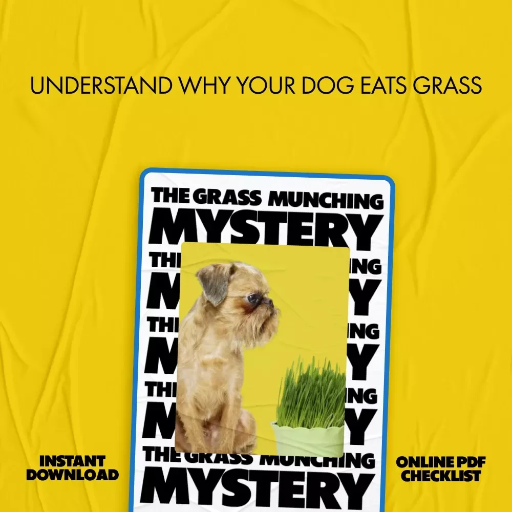 The Grass-Munching Mystery – Why Does My Dog Eat Grass Checklist for Curious Pet Parents | Printable Dog Behavior Guide