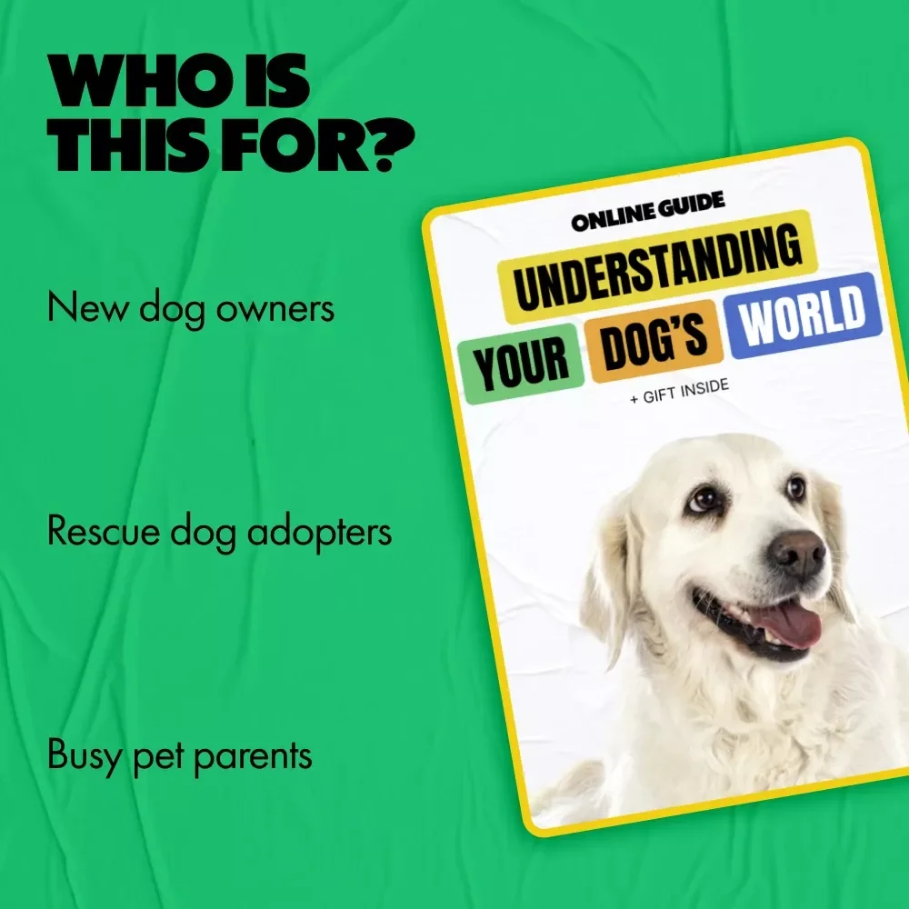 Understanding Your Dog’s World – A Practical Guide to Dog Behavior Explained Simply for Confident, Connected Pet Parents