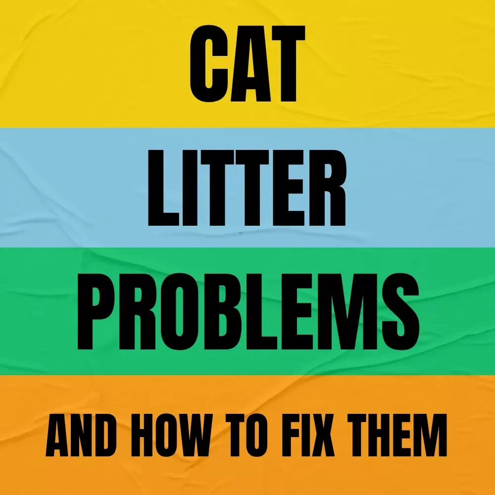 Cat Litter Problems and How to Fix Them | Practical eBook Guide for Cat Owners | Smells, Tracking & Litter Box Solutions