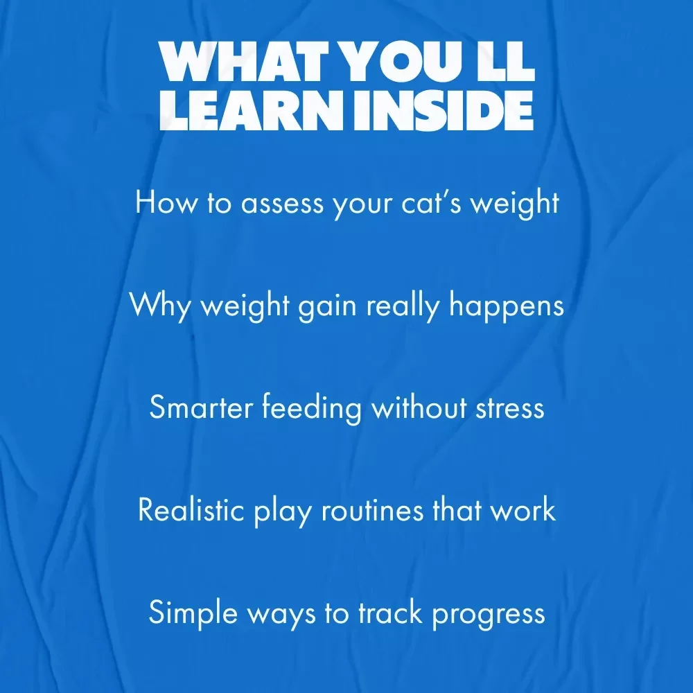 Helping Your Cat Slim Down Safely – Digital Cat Weight Loss Guide | what to do if my cat is obese | Healthy Feline Diet, Play & AI Tracking Checklist