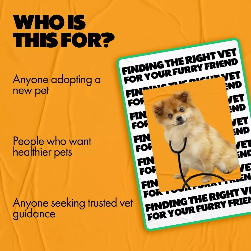 Finding the Right Vet for Your Furry Friend: The Ultimate Guide on How to Choose a Vet for Your Pet