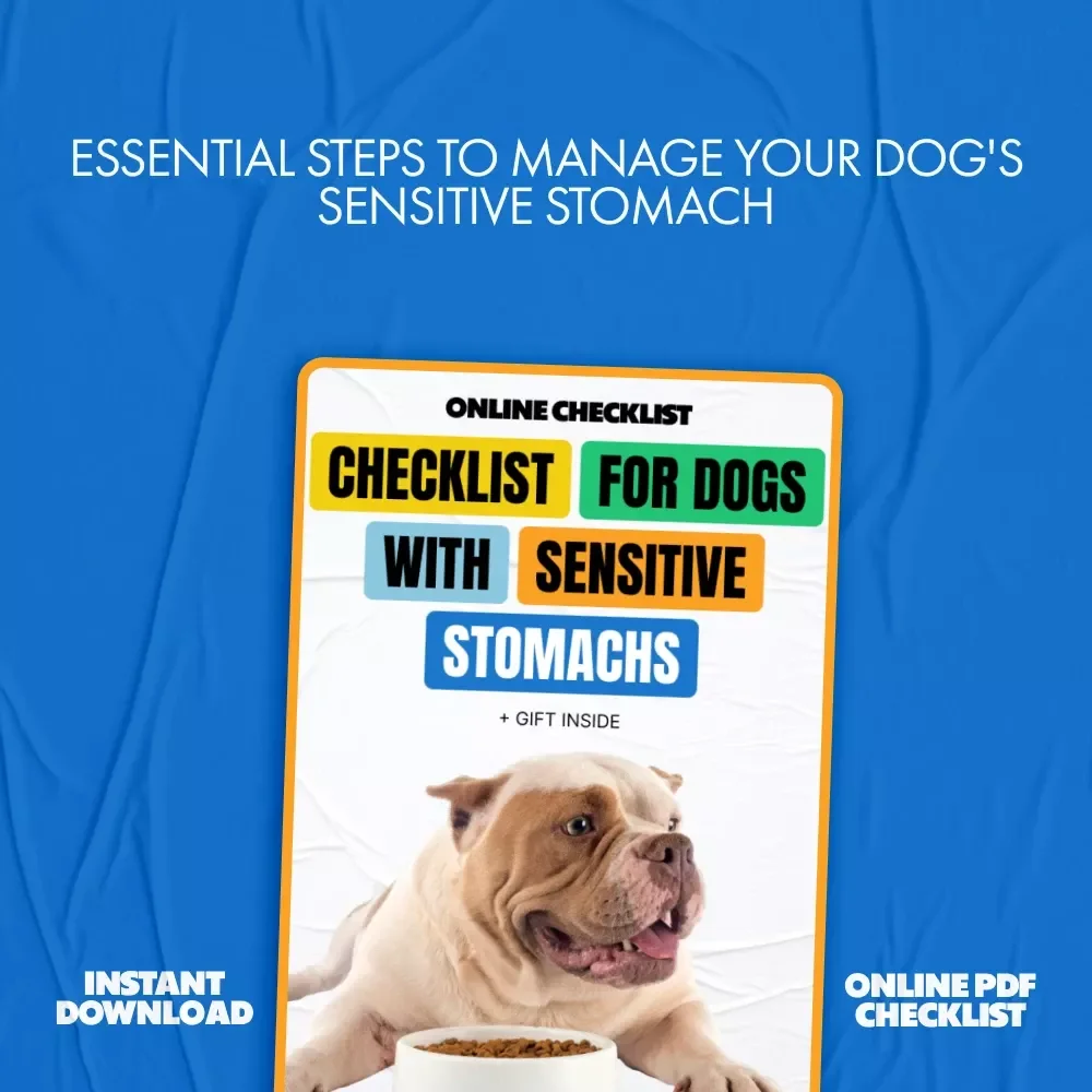 Checklist for Dogs with Sensitive Stomachs: Easy Steps to Support Your Dog’s Digestion