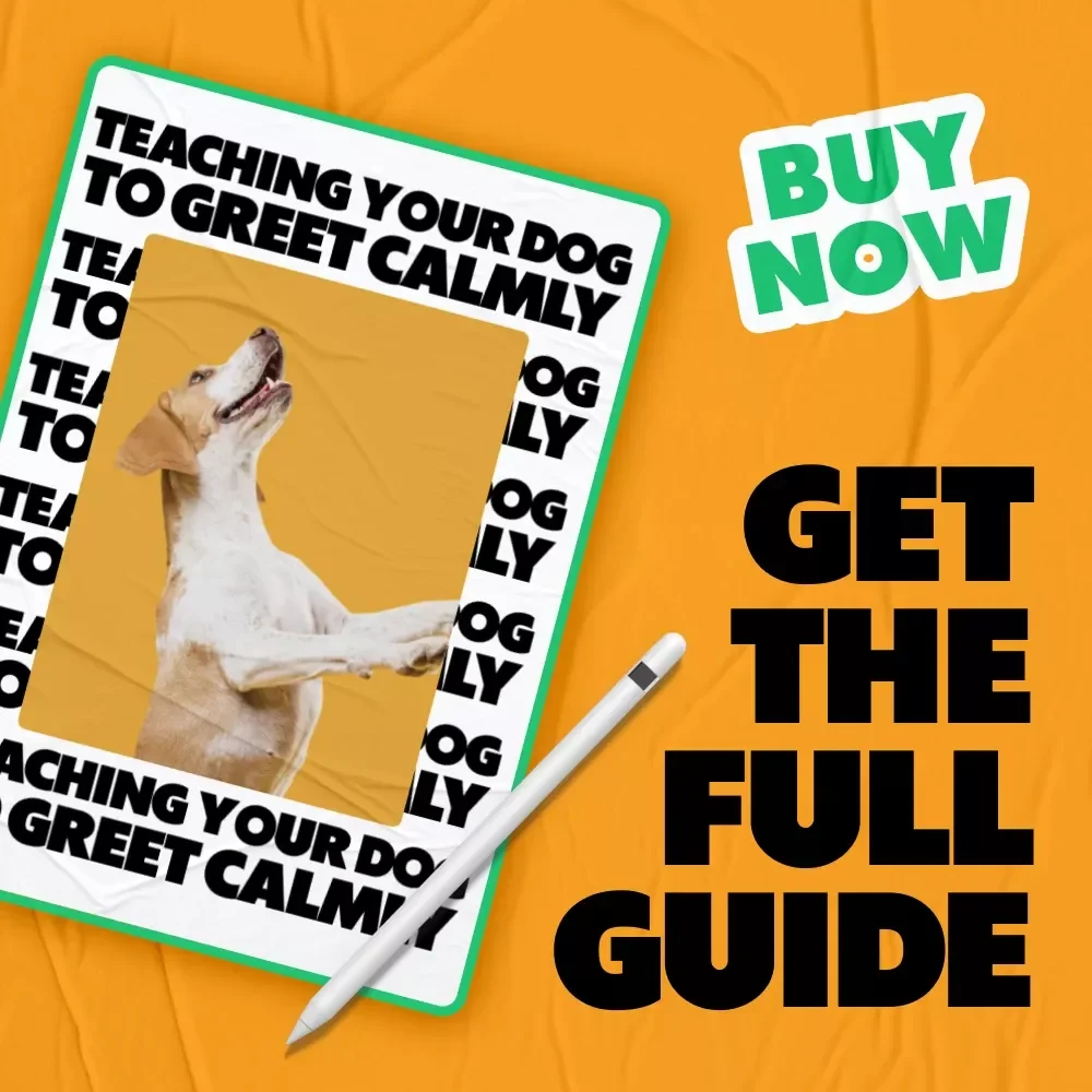 Teaching Your Dog to Greet Calmly – A Practical Training Guide with the Best Ways to Stop Dog Jumping for Polite, Stress-Free Hellos