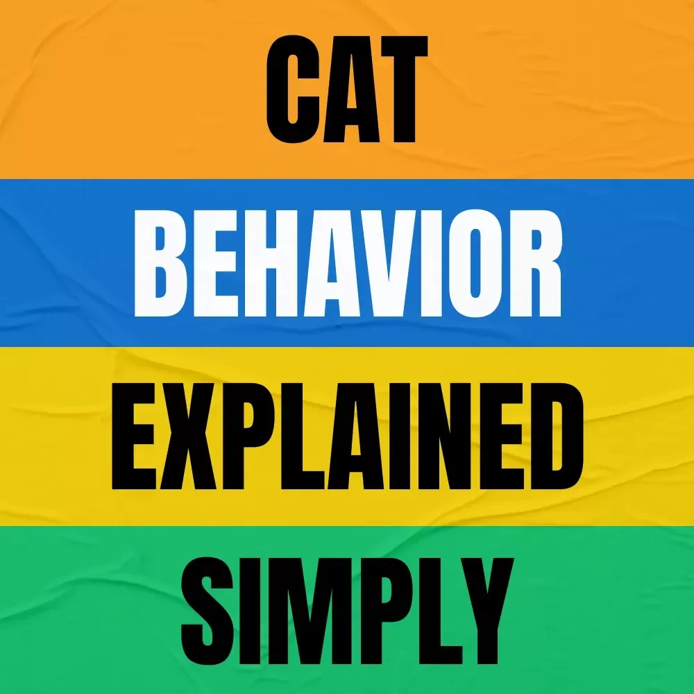 Understanding Your Cat – A Practical Guide to Cat Behavior Explained Simply | Digital Download for Modern Cat Owners