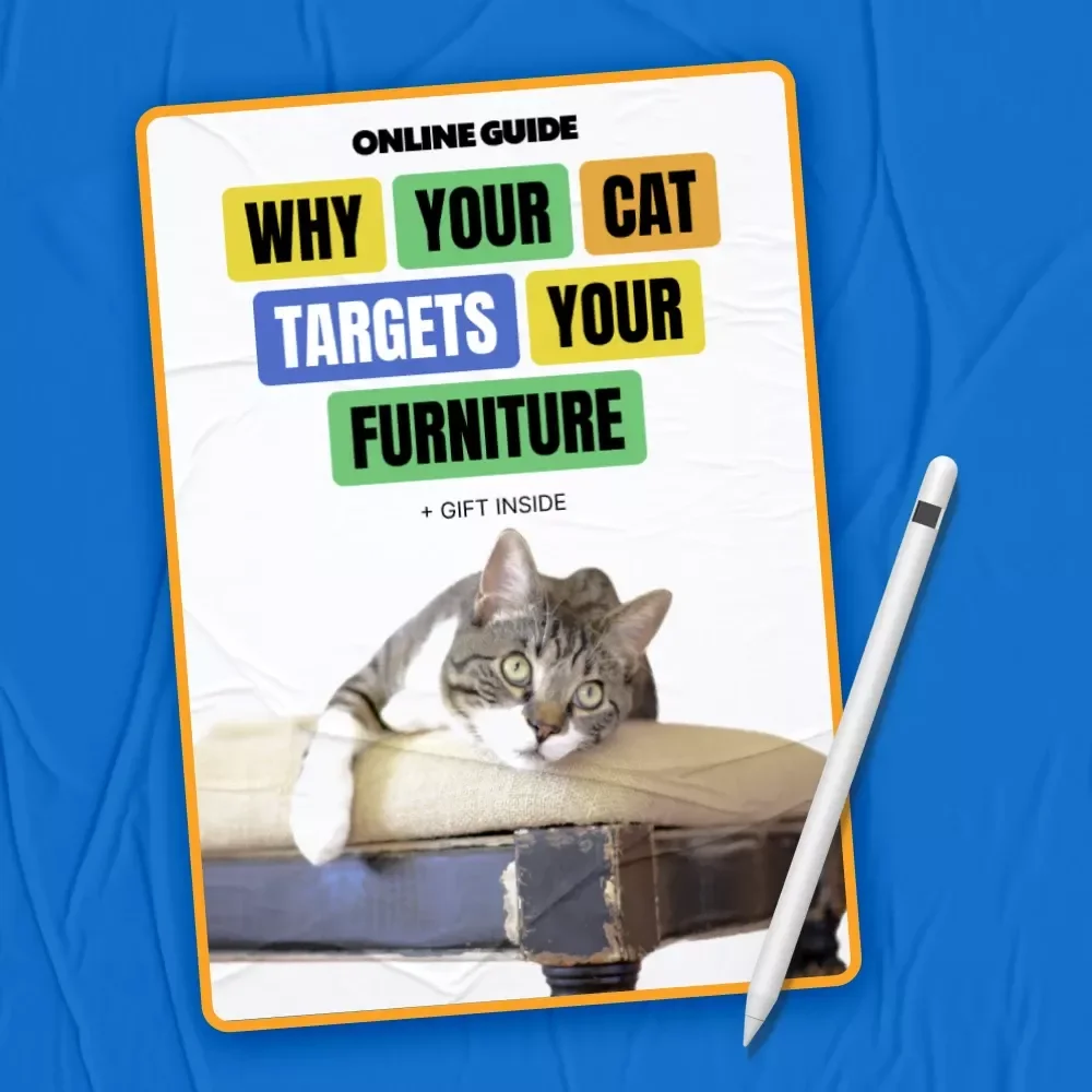 Why Your Cat Targets Your Furniture – A Practical Guide Explaining Why Does My Cat Scratch Furniture & How to Stop It