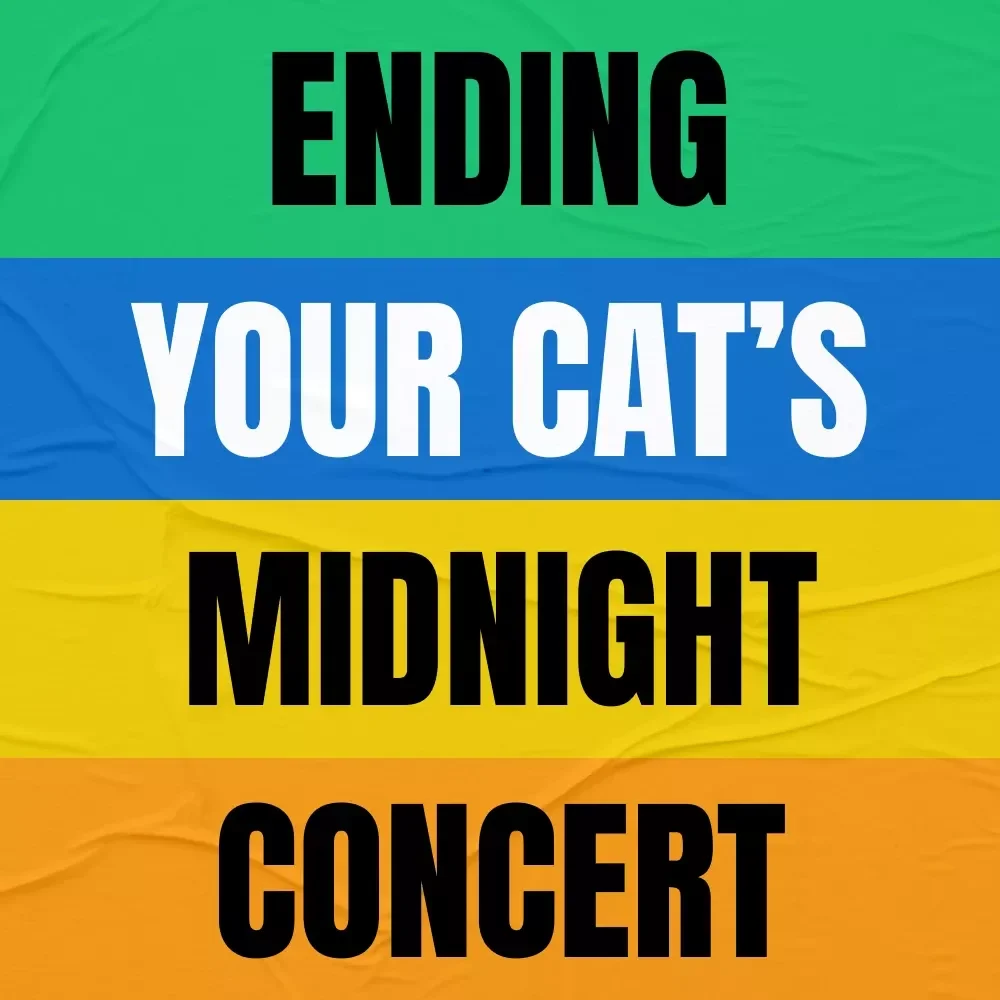 Ending Your Cat’s Midnight Concert | How to Stop Cat Meowing at Night Guide for Better Sleep & Happier Cats