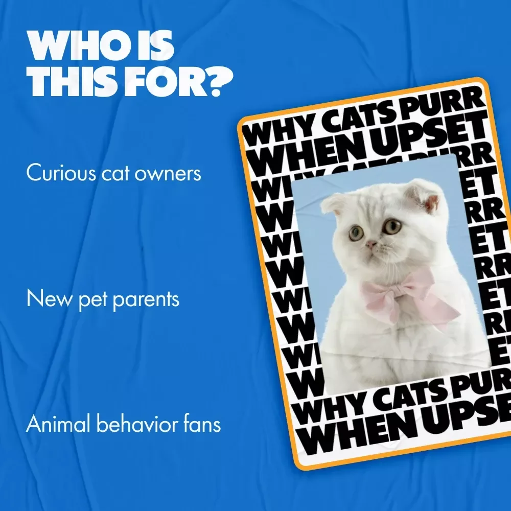 Why Cats Purr When Upset – A Practical Guide to Understanding Feline Stress, Purring Behavior & Emotional Signals for Cat Owners