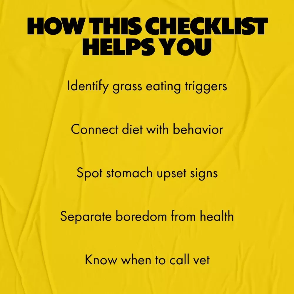 The Grass-Munching Mystery – Why Does My Dog Eat Grass Checklist for Curious Pet Parents | Printable Dog Behavior Guide