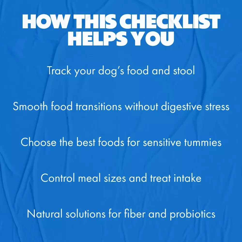 Checklist for Dogs with Sensitive Stomachs: Easy Steps to Support Your Dog’s Digestion
