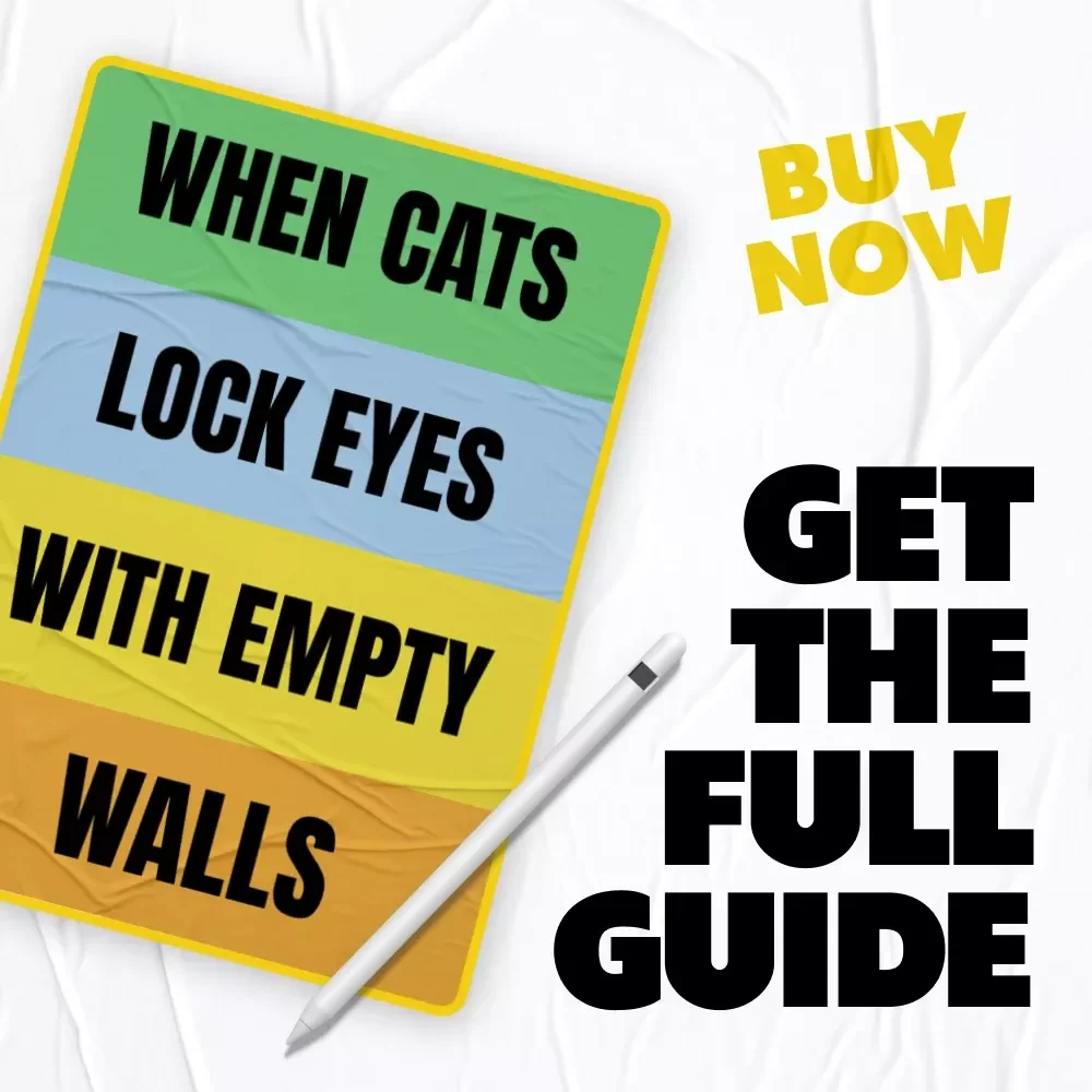 When Cats Lock Eyes With Empty Walls – A Curious Cat Owner’s Guide to Understanding Strange Staring Behavior | why does my cat stare at walls