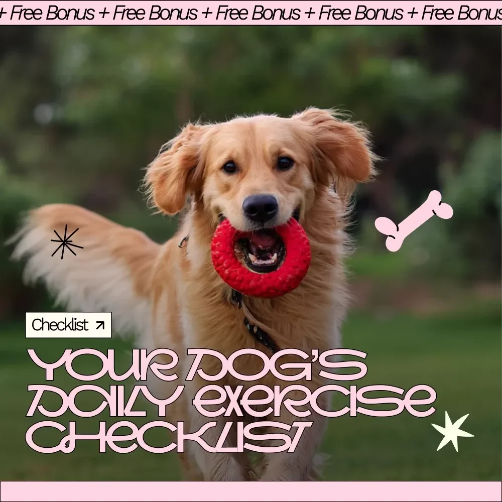 Your Dog’s Daily Exercise Checklist – Printable Dog Exercise Planner, Daily Dog Activity Guide, Digital Download for Happy & Healthy Dogs