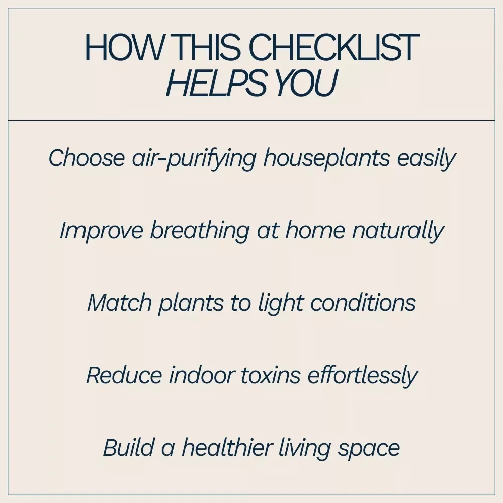 Best Houseplants for Indoor Air Quality Checklist | Easy Air-Purifying Plant Guide for a Healthier Home