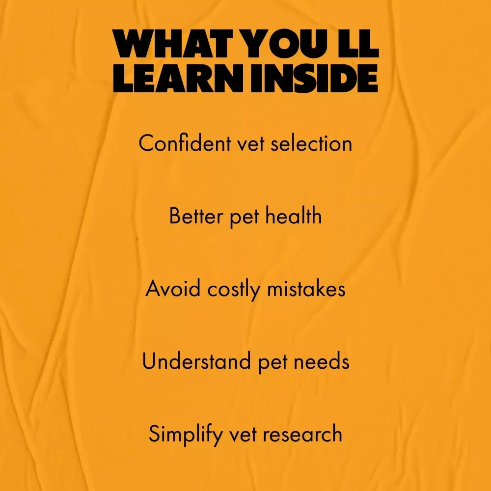 Finding the Right Vet for Your Furry Friend: The Ultimate Guide on How to Choose a Vet for Your Pet