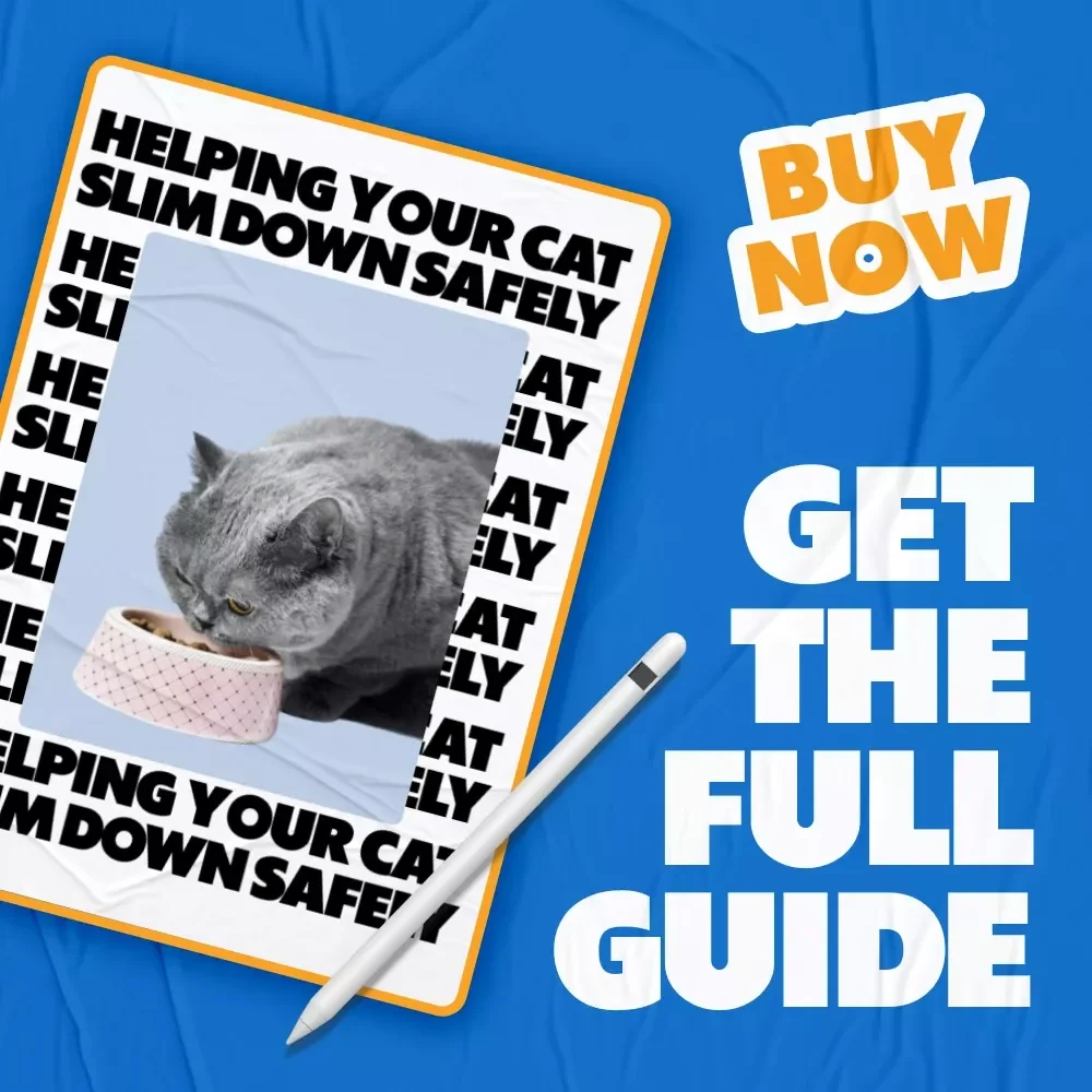 Helping Your Cat Slim Down Safely – Digital Cat Weight Loss Guide | what to do if my cat is obese | Healthy Feline Diet, Play & AI Tracking Checklist