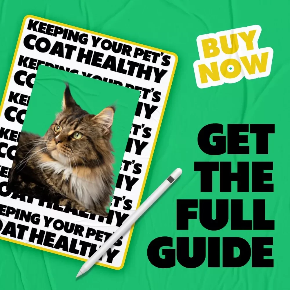 Keeping Your Pet’s Coat Healthy | Practical eBook Guide to the Best Brushing Routine for Pets, Dogs & Cats, Easy Grooming Care, Digital Download