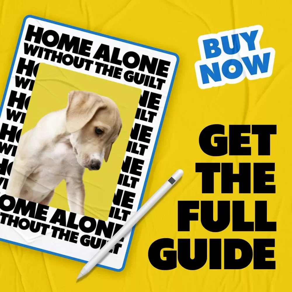 Home Alone Without the Guilt | A Smart, Modern Guide Answering how long can i leave my pet alone for Busy, Caring Pet Parents