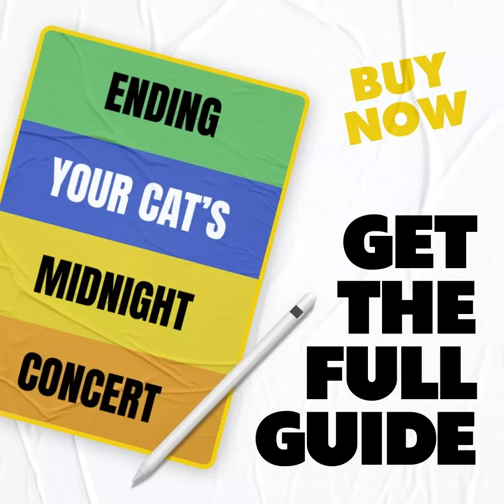Ending Your Cat’s Midnight Concert | How to Stop Cat Meowing at Night Guide for Better Sleep & Happier Cats