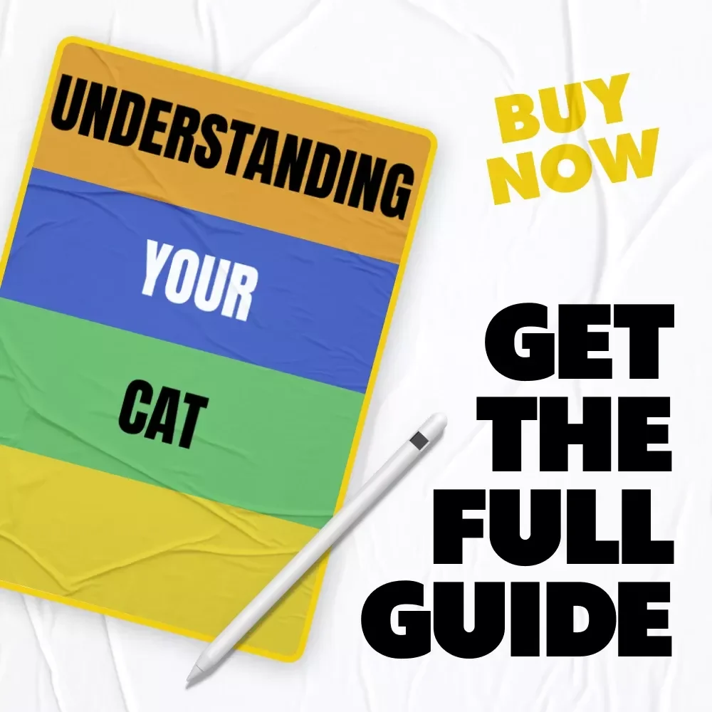 Understanding Your Cat – A Practical Guide to Cat Behavior Explained Simply | Digital Download for Modern Cat Owners