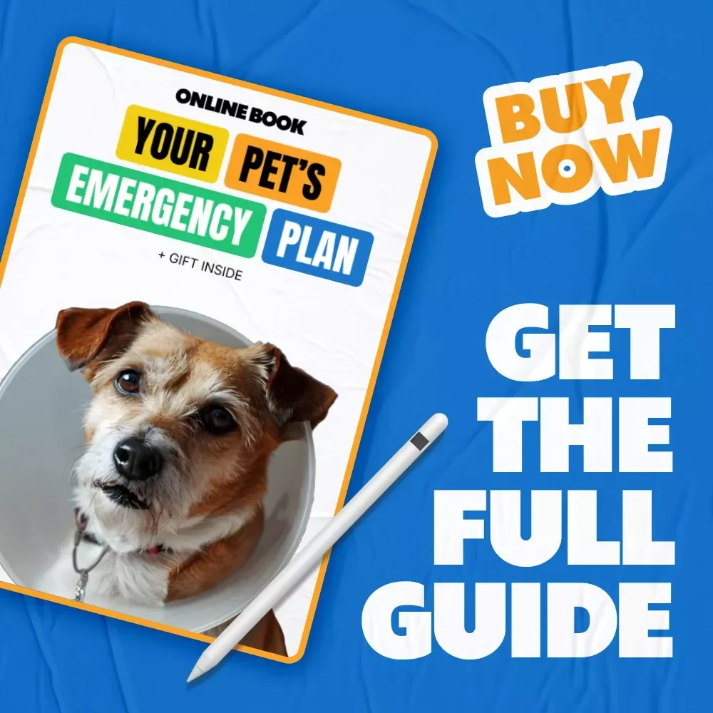 Your Pet’s Emergency Plan: The Ultimate Guide & Checklist on How to Make Pet Emergency Plan for Dogs, Cats, and Small Pets