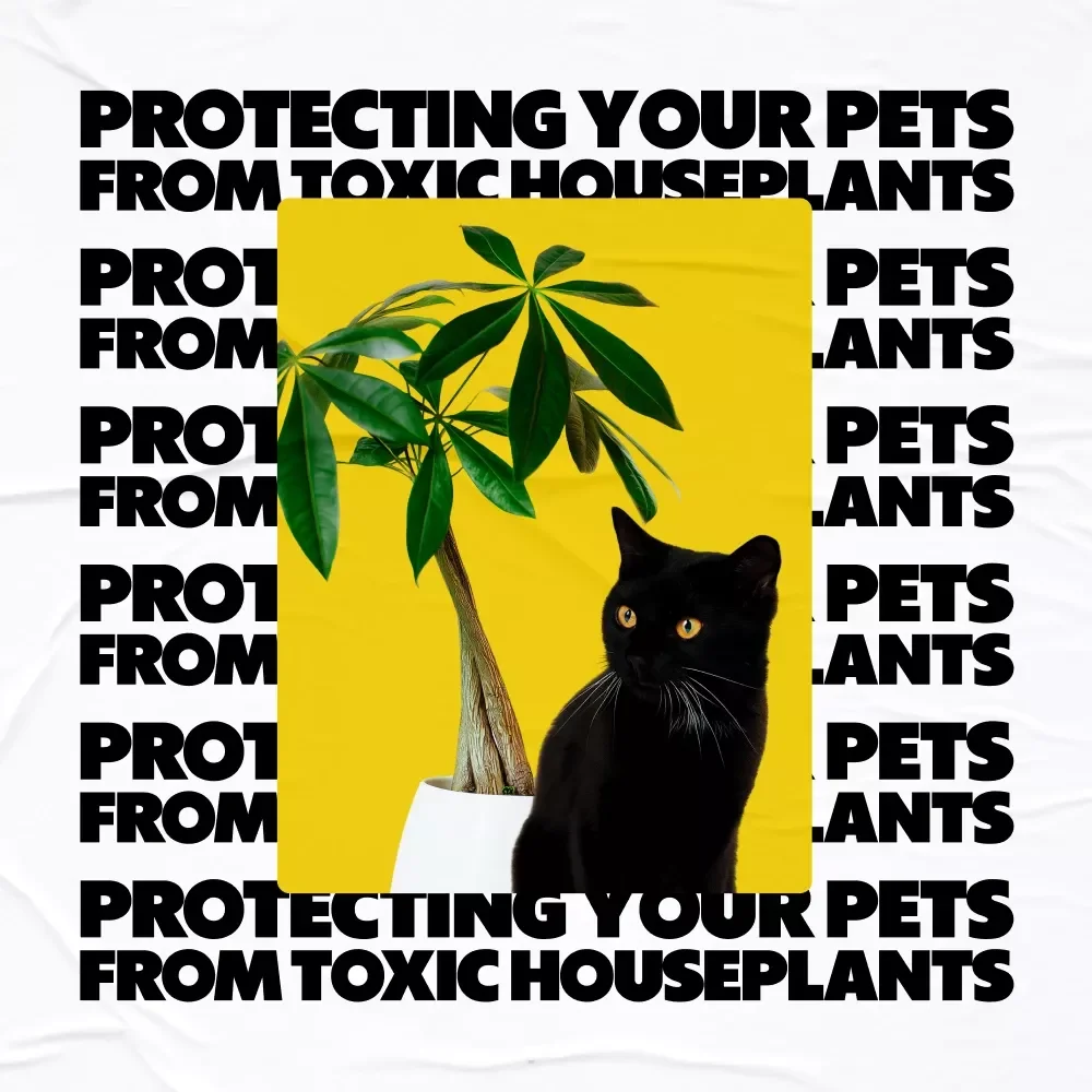 Protecting Your Pets from Toxic Houseplants: A Must-Have Guide for Pet Owners
