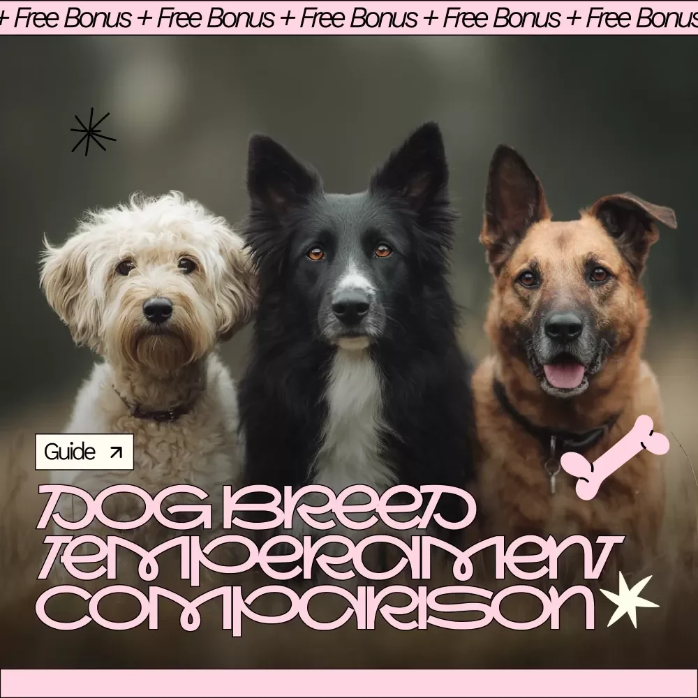Understanding Dog Temperaments: A Practical eBook Guide for Smart Dog Breed Temperament Comparison & Confident Choosing