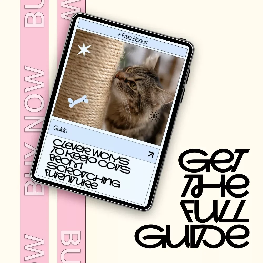 Clever Ways to Keep Cats from Scratching Furniture | Cat Training Guide, Stop Cat Scratching Sofa, Protect Furniture eBook, Digital Download for Cat Owners