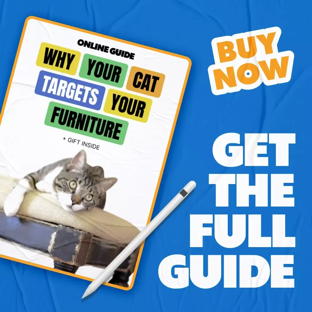 Why Your Cat Targets Your Furniture – A Practical Guide Explaining Why Does My Cat Scratch Furniture & How to Stop It