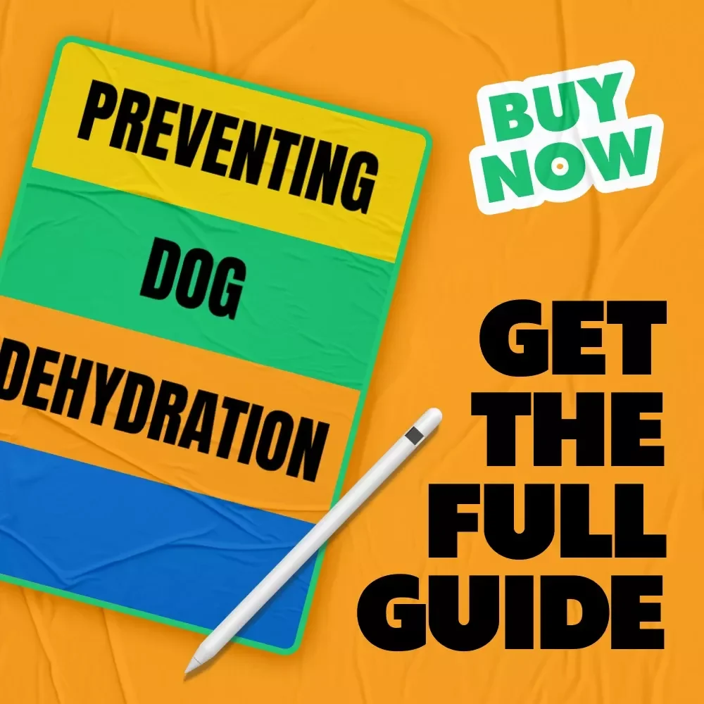 Preventing Dog Dehydration – Essential Hydration Guide for Healthy Dogs | Practical eBook for Dog Owners