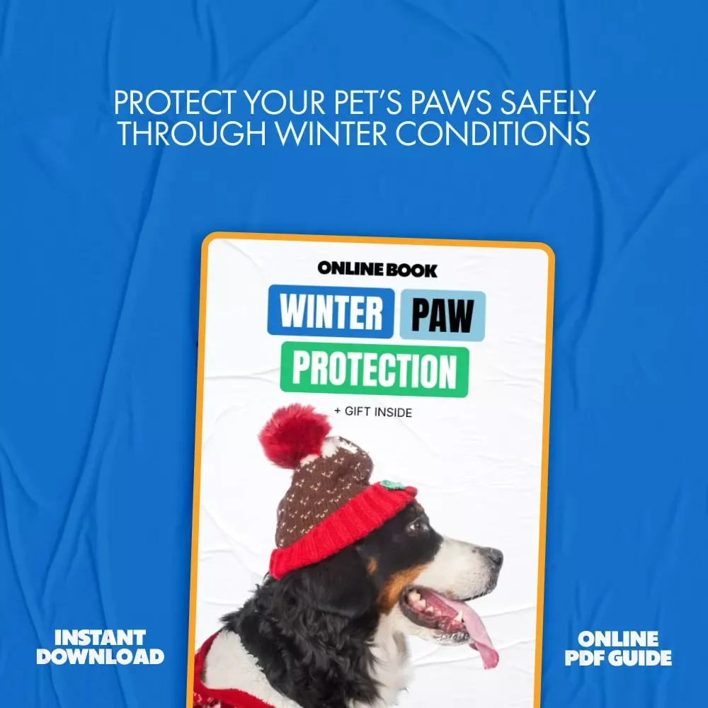 Winter Paw Protection – Practical Winter Paw Protection Tips ebook for Dogs & Cats | Cold Weather Paw Care Guide