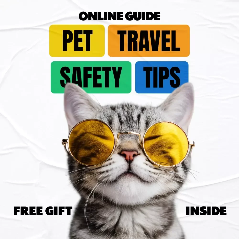 Essential Pet Travel Safety Tips | Digital eBook Guide for Stress-Free Trips with Pets