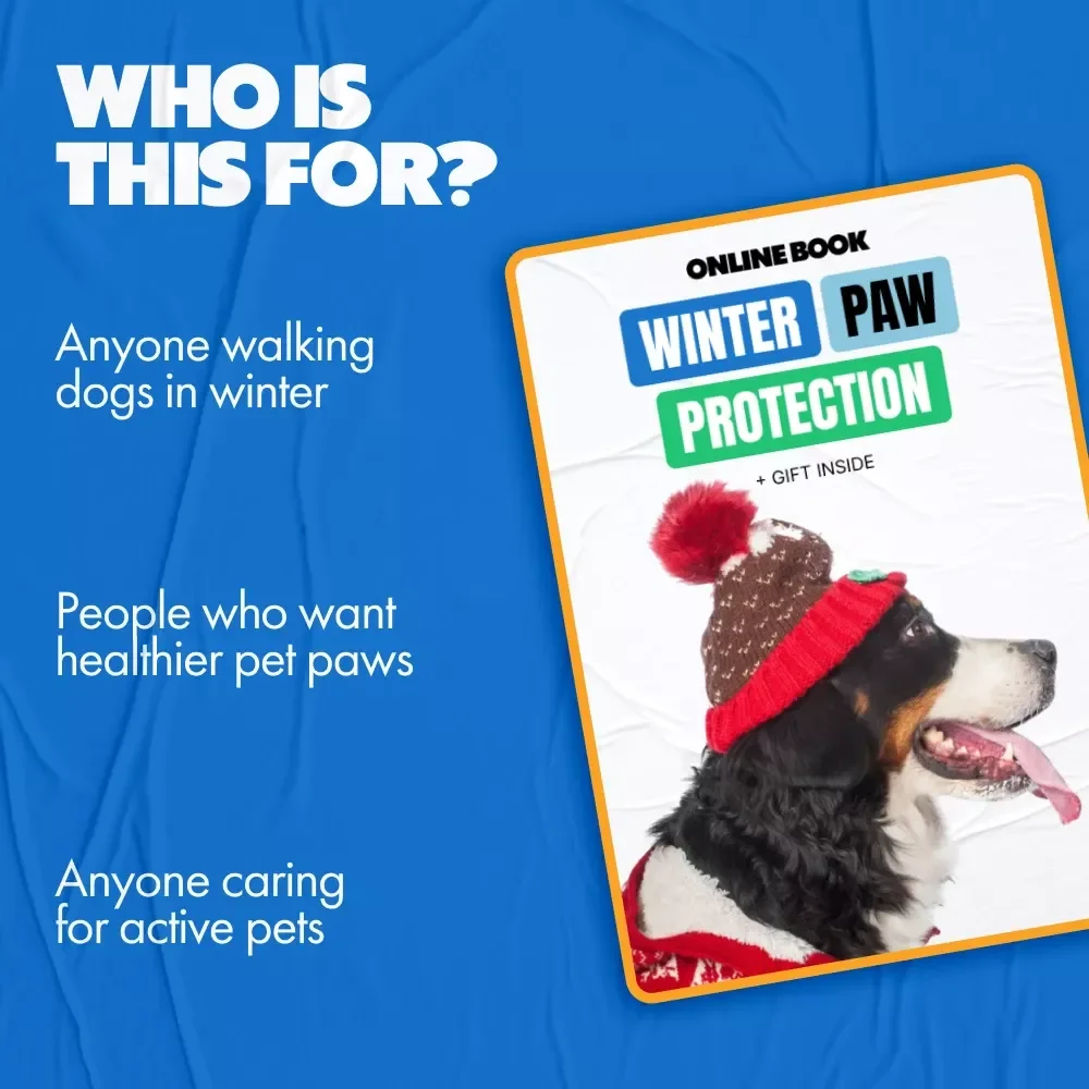 Winter Paw Protection – Practical Winter Paw Protection Tips ebook for Dogs & Cats | Cold Weather Paw Care Guide