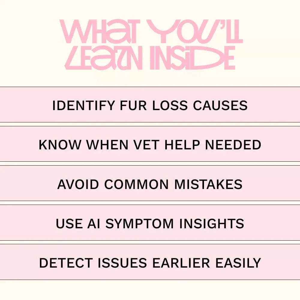 Understanding Why Dogs Lose Fur – A Practical Guide to Dog Losing Fur in Patches Causes for Caring Pet Owners