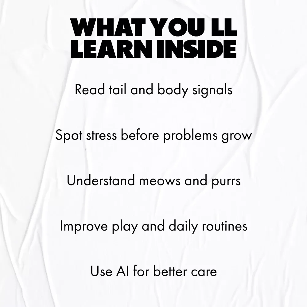 Understanding Your Cat – A Practical Guide to Cat Behavior Explained Simply | Digital Download for Modern Cat Owners