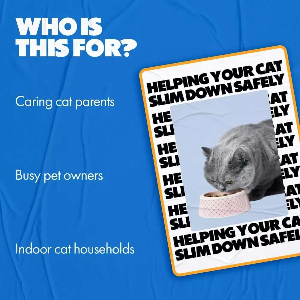 Helping Your Cat Slim Down Safely – Digital Cat Weight Loss Guide | what to do if my cat is obese | Healthy Feline Diet, Play & AI Tracking Checklist