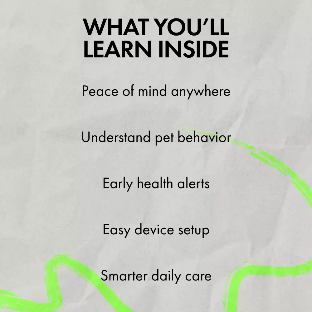 How to Monitor Your Pets Remotely – Smart AI Pet Monitoring Guide for Busy Pet Owners, Learn how to monitor pets remotely with Confidence