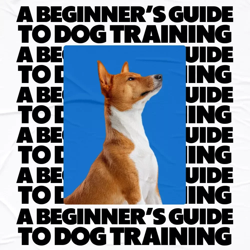 A Beginner’s Guide to Dog Training | Step-by-Step Guide with Dog Training Tips for Beginners | Easy Commands, Positive Reinforcement & AI Tools for New Dog Owners