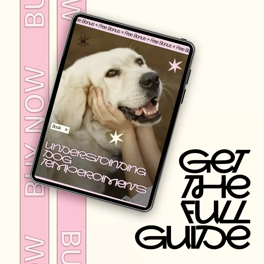 Understanding Dog Temperaments: A Practical eBook Guide for Smart Dog Breed Temperament Comparison & Confident Choosing