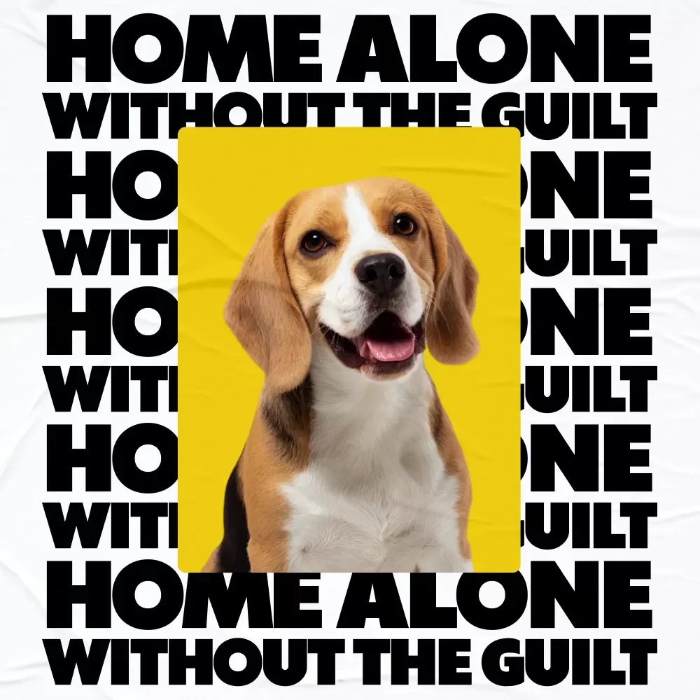 Home Alone Without the Guilt | A Smart, Modern Guide Answering how long can i leave my pet alone for Busy, Caring Pet Parents