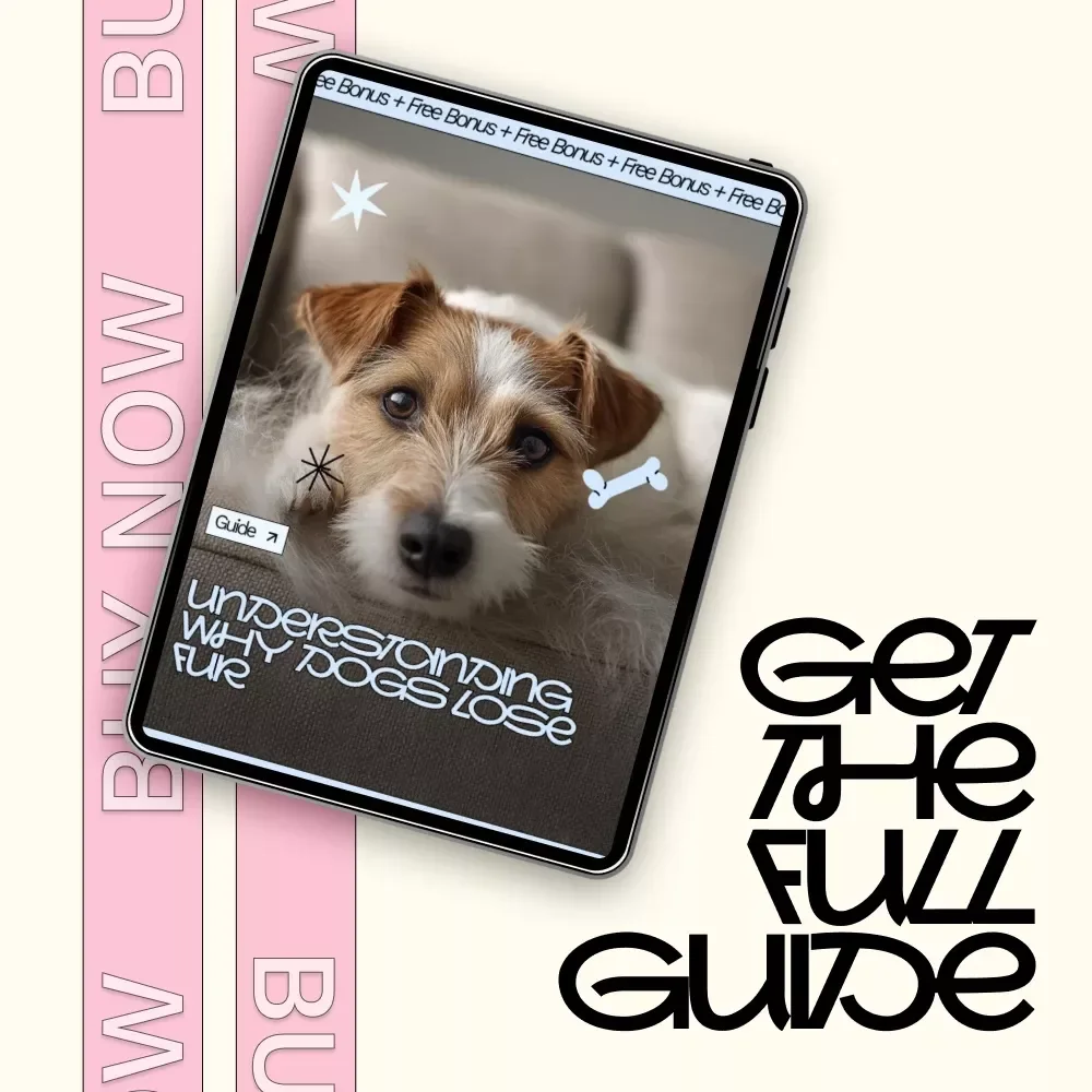 Understanding Why Dogs Lose Fur – A Practical Guide to Dog Losing Fur in Patches Causes for Caring Pet Owners