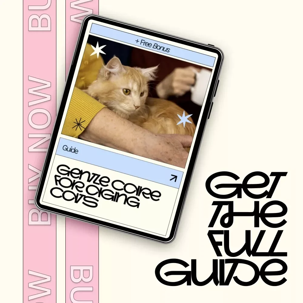 Gentle Care for Aging Cats – A Practical Guide to Senior Cat Care at Home | Comfort, Health & Emotional Support