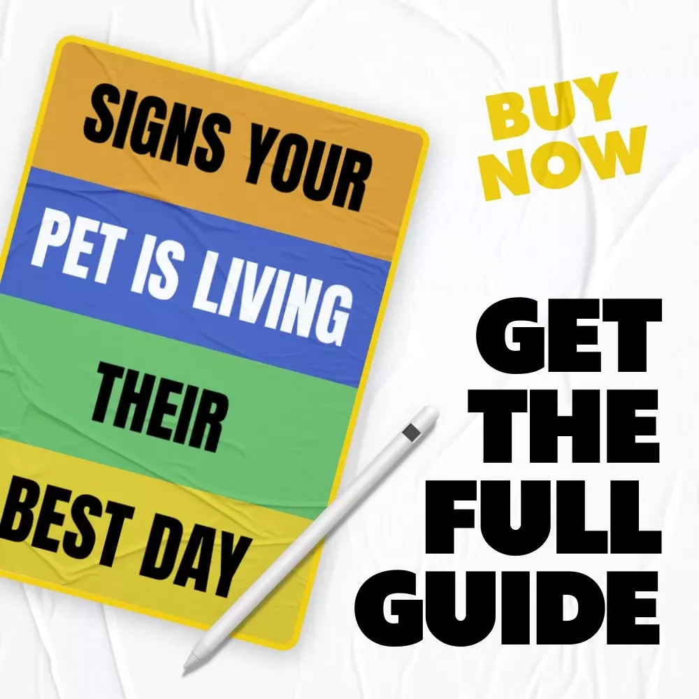 Signs Your Pet Is Living Their Best Day | A Heartfelt Guide on how to tell if my pet is happy | Digital Download for Loving Pet Owners