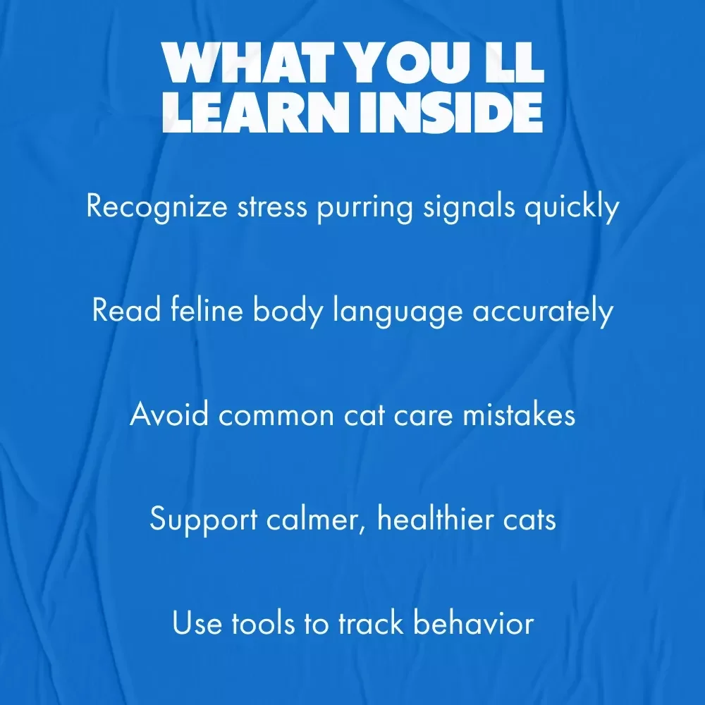 Why Cats Purr When Upset – A Practical Guide to Understanding Feline Stress, Purring Behavior & Emotional Signals for Cat Owners