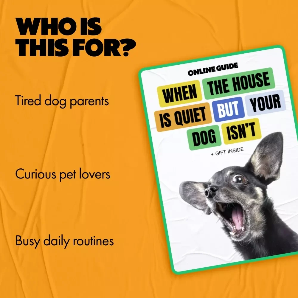 When the House Is Quiet but Your Dog Isn’t – Nighttime Barking Guide | why does my dog bark at night | Calm Evenings Digital Download