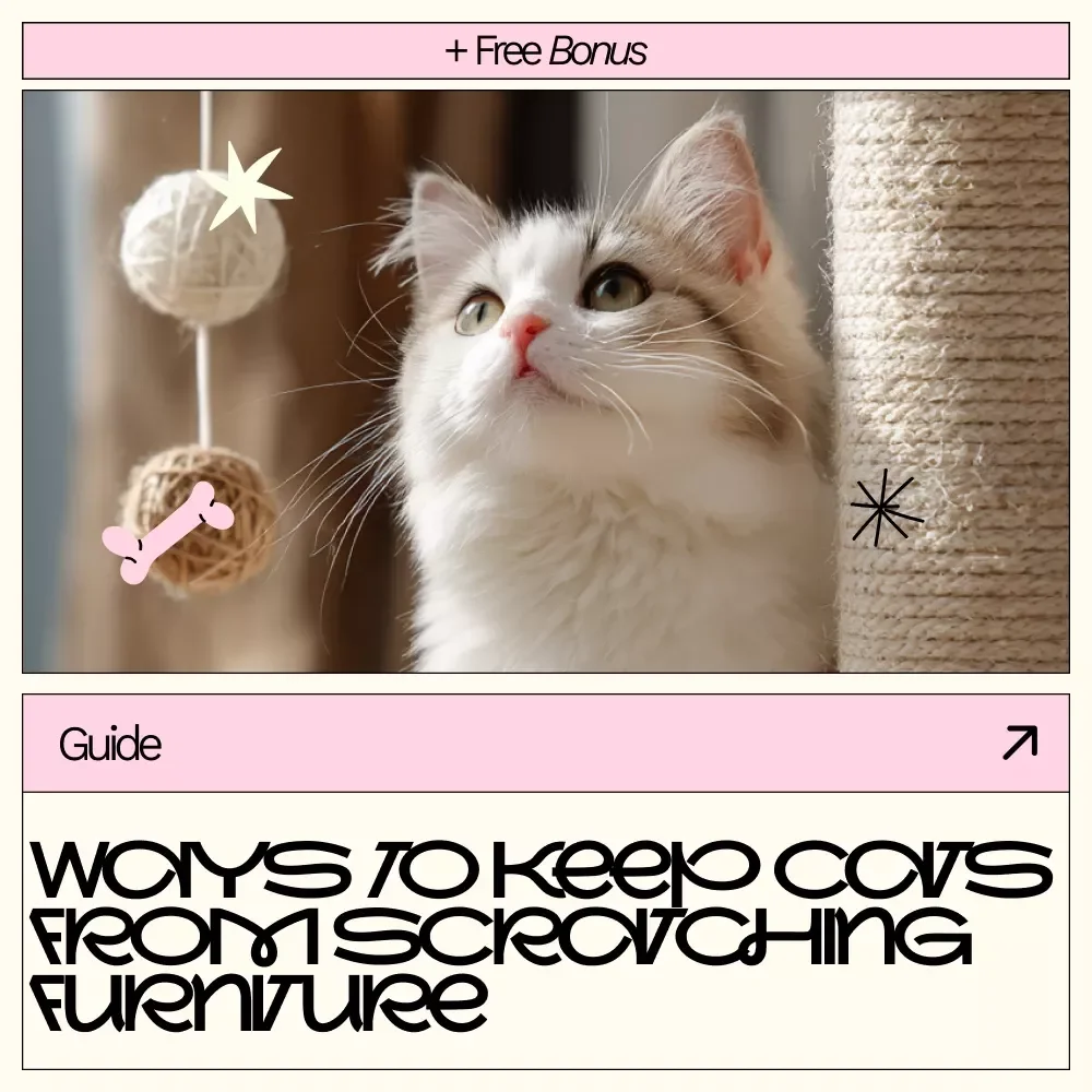 Clever Ways to Keep Cats from Scratching Furniture | Cat Training Guide, Stop Cat Scratching Sofa, Protect Furniture eBook, Digital Download for Cat Owners