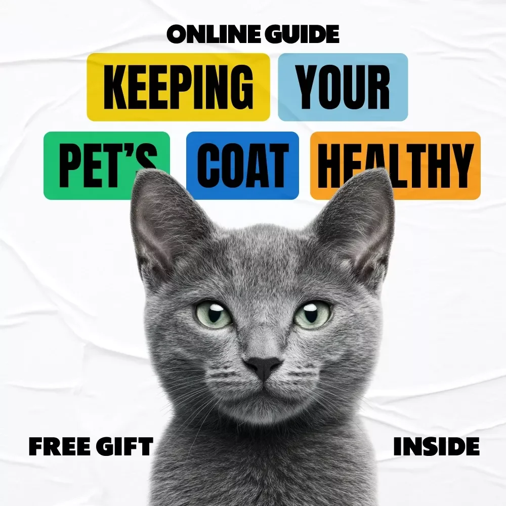 Keeping Your Pet’s Coat Healthy | Practical eBook Guide to the Best Brushing Routine for Pets, Dogs & Cats, Easy Grooming Care, Digital Download