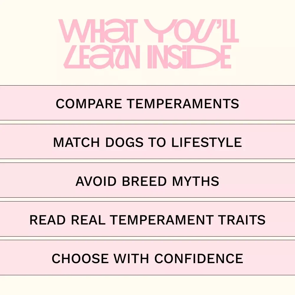 Understanding Dog Temperaments: A Practical eBook Guide for Smart Dog Breed Temperament Comparison & Confident Choosing