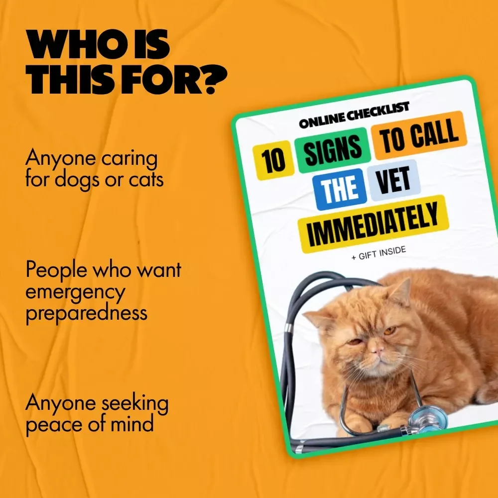 10 Signs to Call the Vet Immediately | Emergency Pet Health Checklist