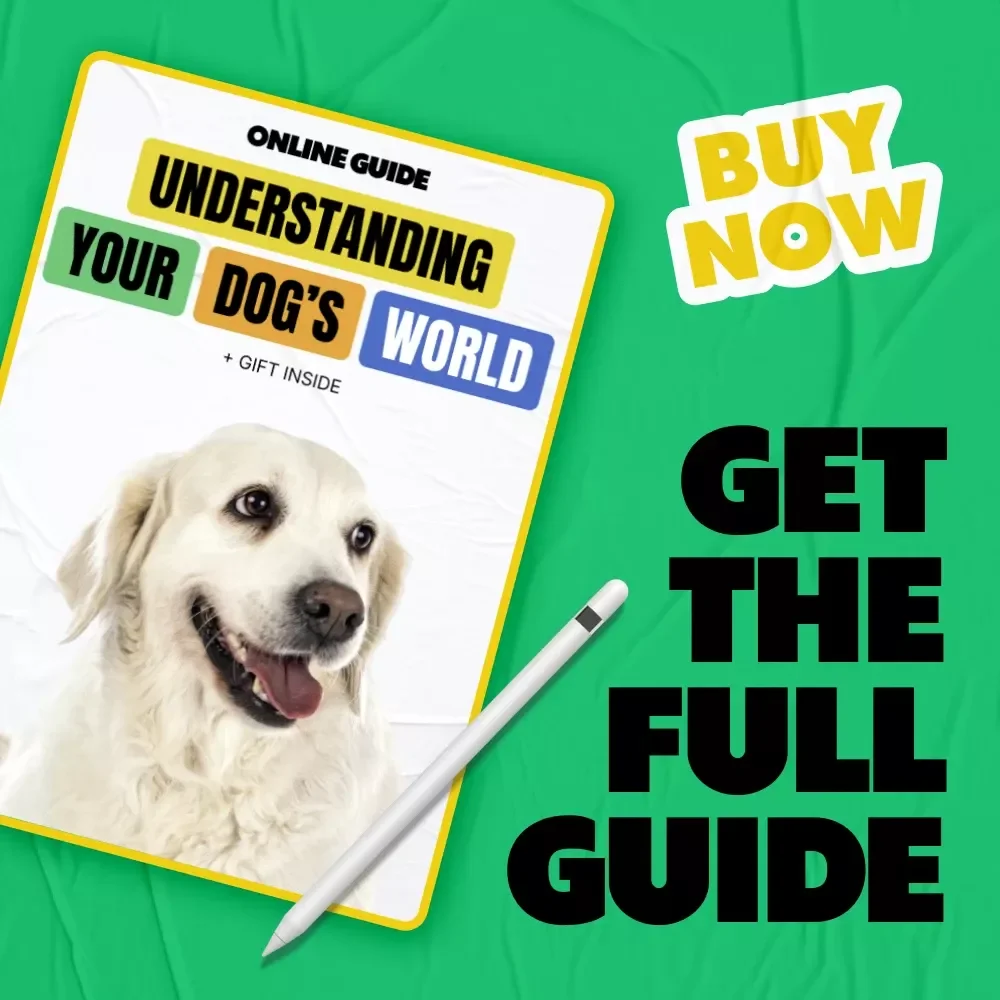 Understanding Your Dog’s World – A Practical Guide to Dog Behavior Explained Simply for Confident, Connected Pet Parents