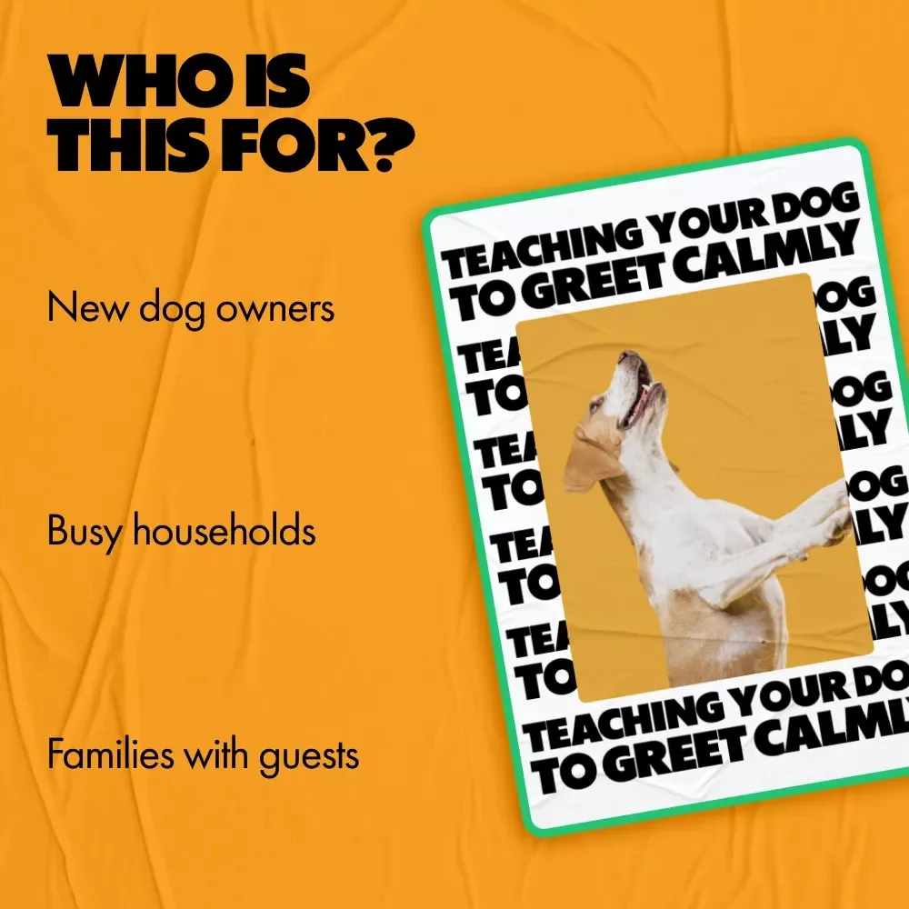 Teaching Your Dog to Greet Calmly – A Practical Training Guide with the Best Ways to Stop Dog Jumping for Polite, Stress-Free Hellos